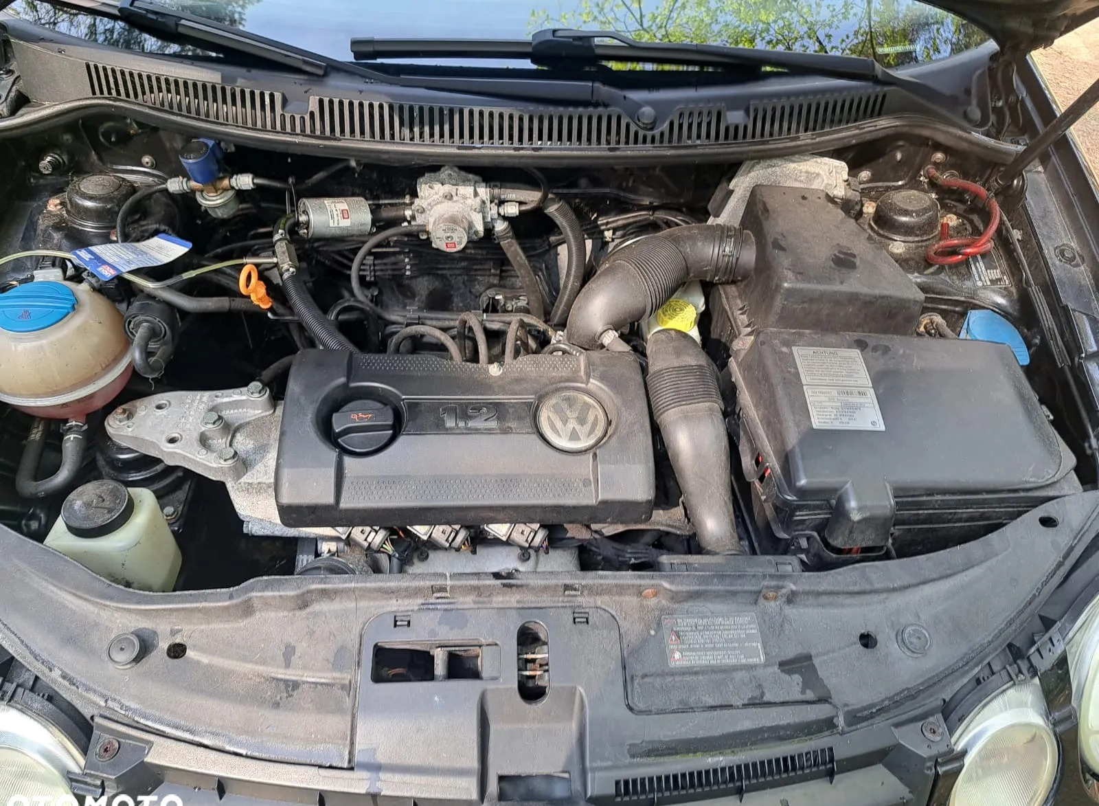 Volkswagen Polo cena 6111 przebieg: 200880, rok produkcji 2004 z Trzcianka małe 407
